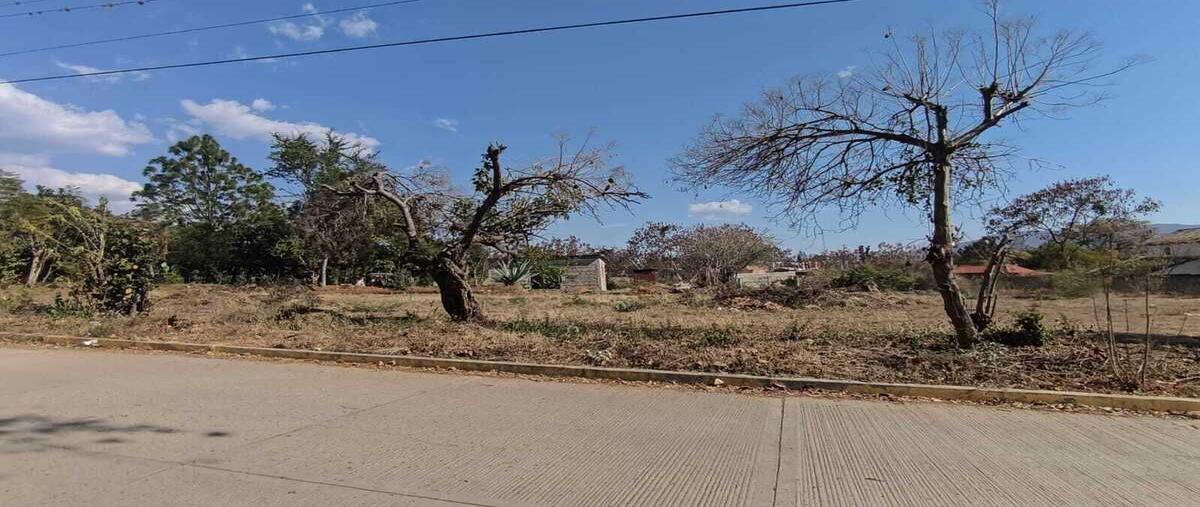 Foto de terreno habitacional en venta en calle el pocitocabecera municipal san andres huayapam san andrés huayápam,  oax. , san andres huayapam, san andrés huayápam, oaxaca, 29424047 No. 04
